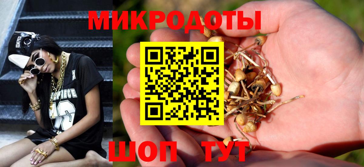 Галлюциногенные грибы прущие грибы  Псилоцибиновые грибы MAGIC MUSHROOMS  купить наркотик  Горно-Алтайск  Вход с VPN 